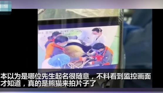 医院有位患者叫熊猫是真熊猫 照片曝光直接让人大呼意外