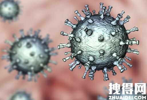 杭州通报10名小学生阳性:首次感染 原因揭秘简直太意外了