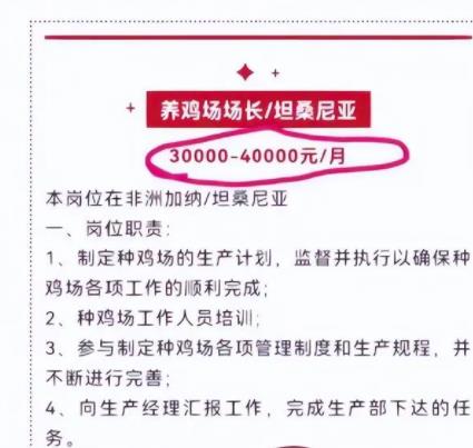 月薪4万招人去非洲养鸡?企业回应 具体是去干什么?