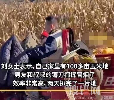 男子带父亲花2天帮女友家收玉米 背后真相实在让人惊愕