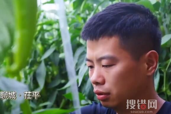 山东一村8090后全部回村就业 种辣椒卖辣椒年入50万余元