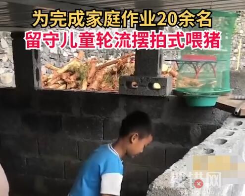 20余名留守娃轮流摆拍喂猪完成作业 隔两三秒摆拍一下