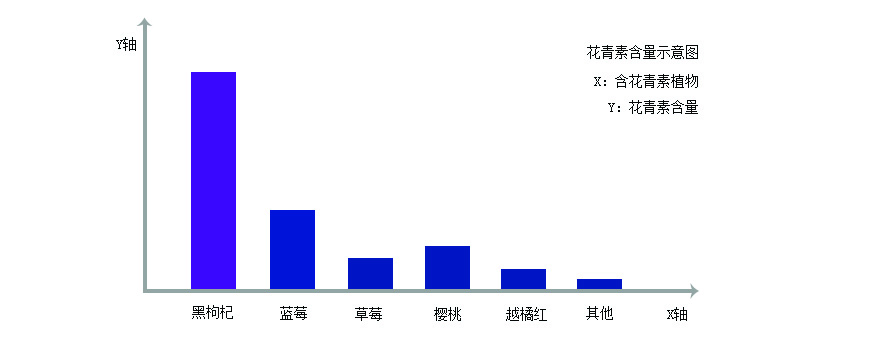 黑枸杞的冲泡颜色变化