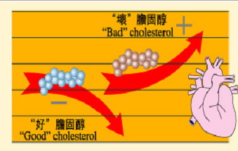 胆固醇