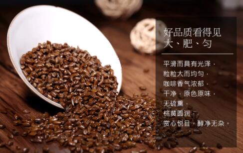 高品质决明子
