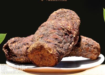 肉苁蓉