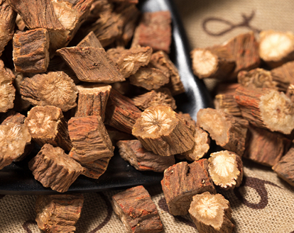 丹参图片 丹参图片