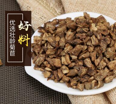 优质菊苣根
