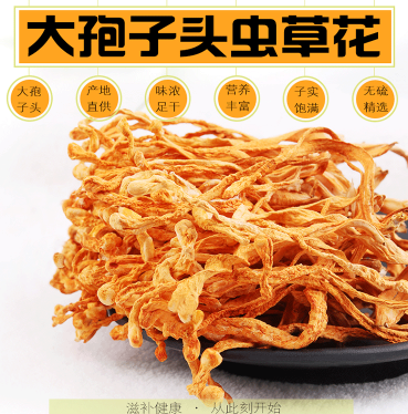 大孢子头虫草花