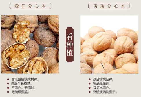 好坏分心木的对比