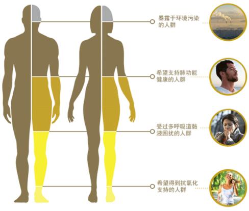 swisse清肺片适合哪些人吃