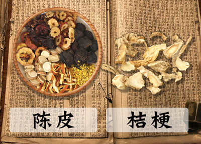 陈梗末
