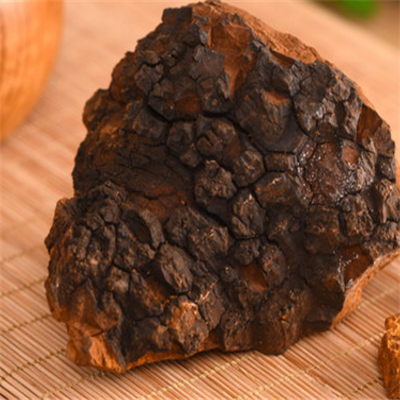 桦树茸 桦树茸