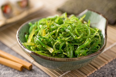 紫菜