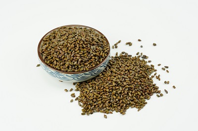 决明子茶