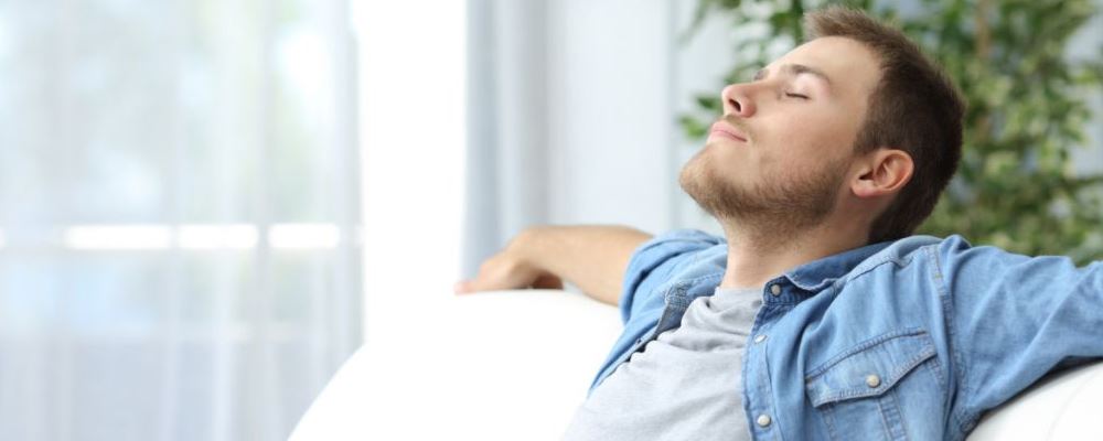 白领养生茶 养生红茶 白领喝什么茶好