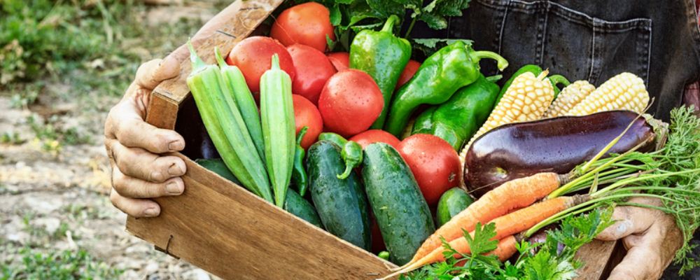 体力劳动者 体力劳动者吃什么 体力劳动者吃什么好