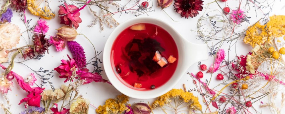 曲曲菜可以泡水喝吗 曲曲菜泡水喝的功效 曲曲菜可以泡水喝吗 曲曲菜泡水喝的功效 曲曲菜泡水喝作用