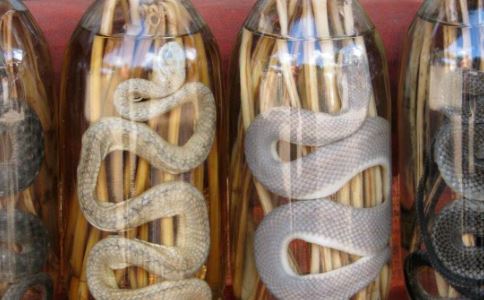 喝药酒能养生延年 药酒有哪些种类 春季进补就喝药酒