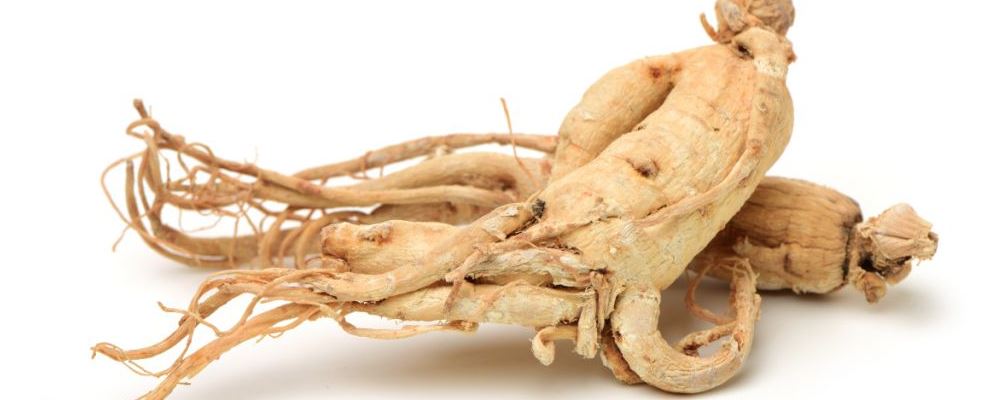 老人养生吃什么中药好 老人养生吃什么 哪些中药能养生