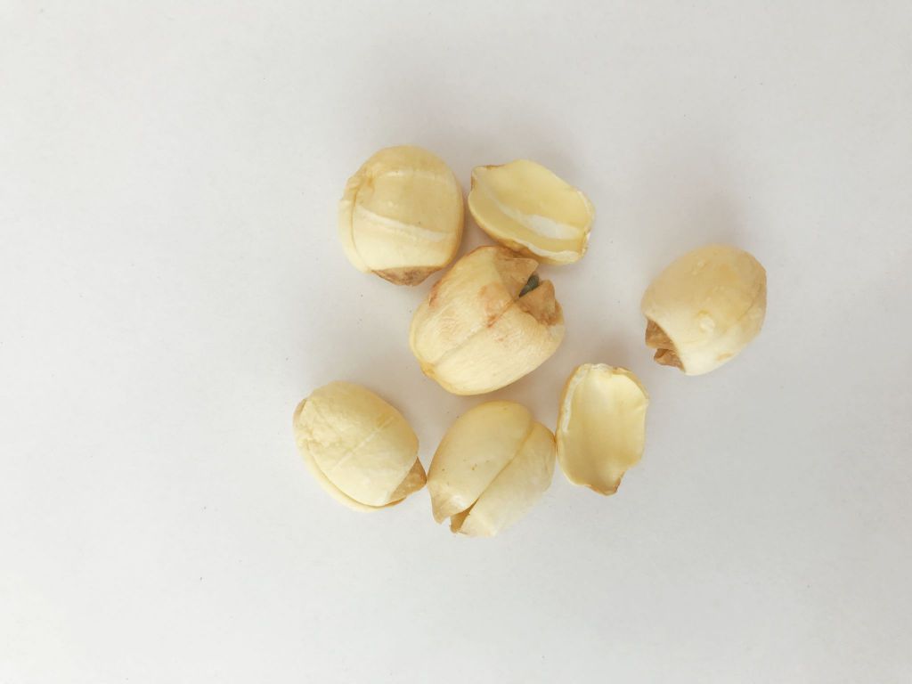 脾虚吃什么食物补最好 脾虚吃什么食物和水果 脾虚的饮食原则