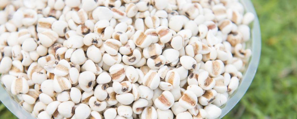 夏天煲汤去湿气什么材料好 夏季煲汤去湿气的最佳材料 夏季煲汤