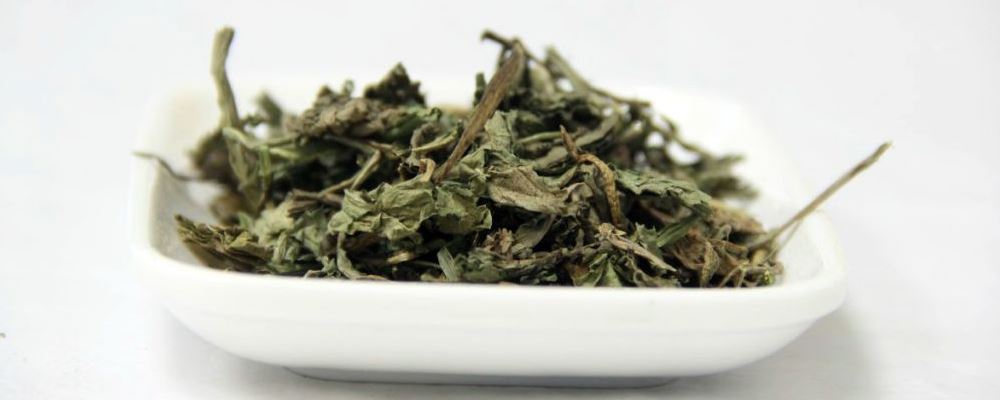 每天蒲公英泡水喝的好处 蒲公英泡水喝的注意事项 蒲公英的营养价值