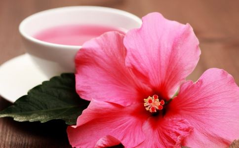 春季喝什么花茶 春季养生喝什么花茶好 春季喝什么养生茶