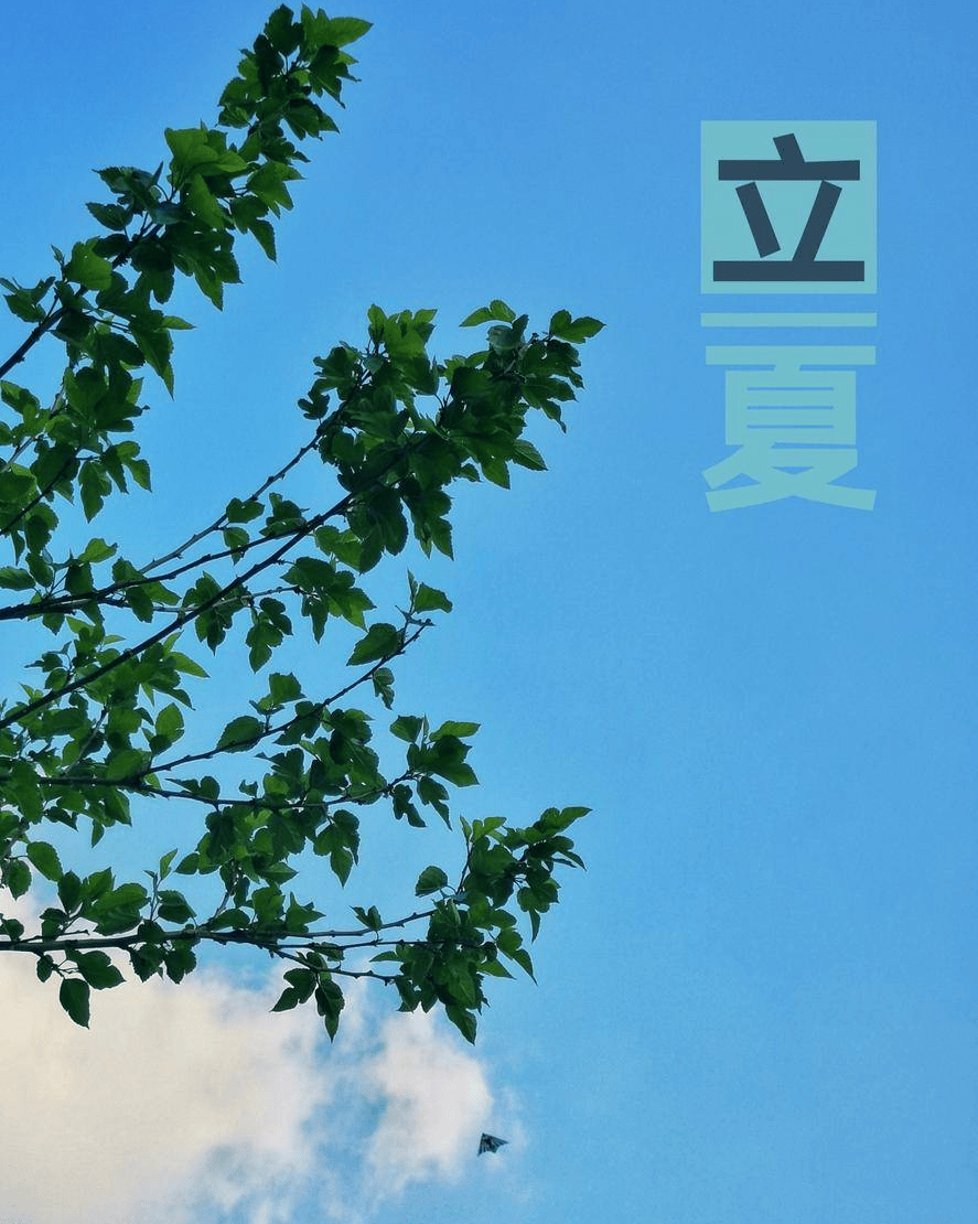 立夏1.jpg