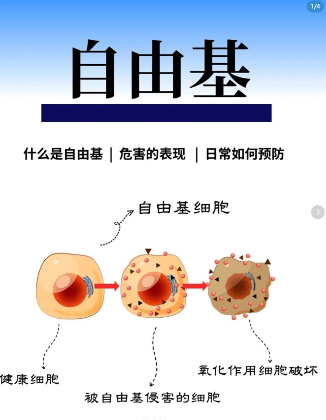 屏幕截图 2026-05-13 171555.png
