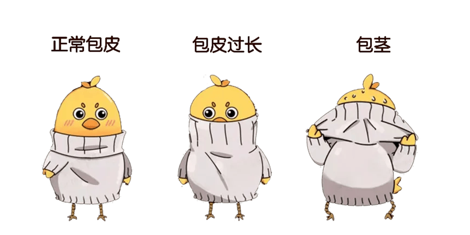 微信图片_20240821134501.png