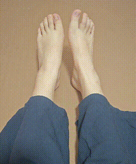 6.gif