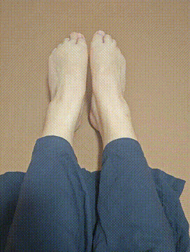 2.gif