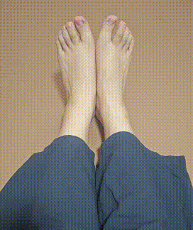 5.gif