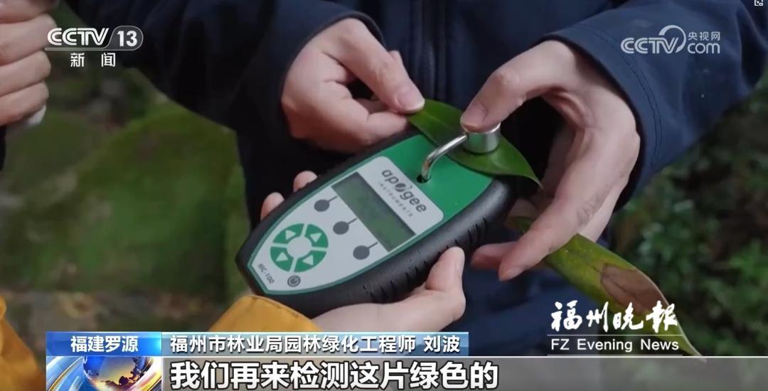 福州古树名木也有高科技“体检套餐”