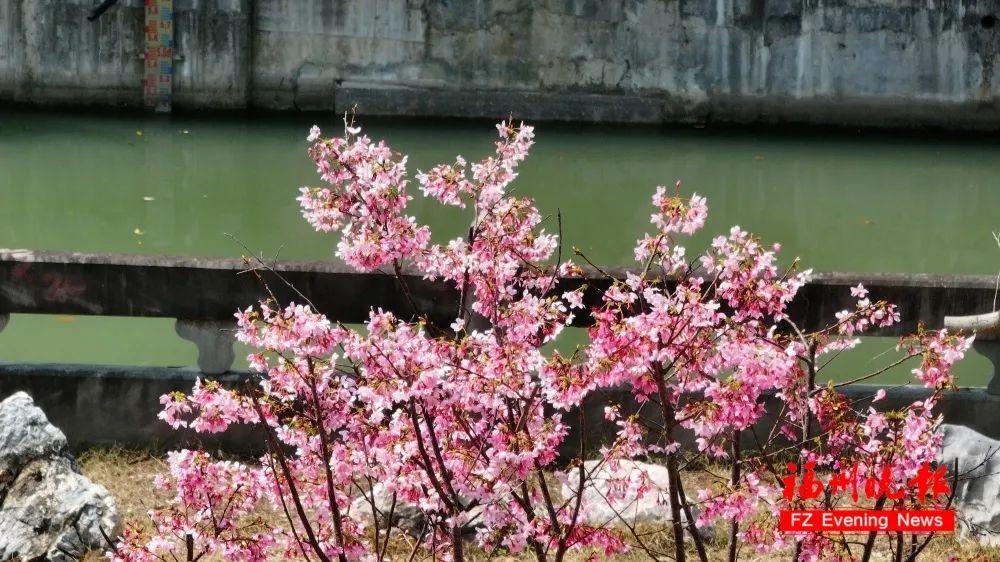 直奔34℃！福州大升温模式开启！又有新情况……