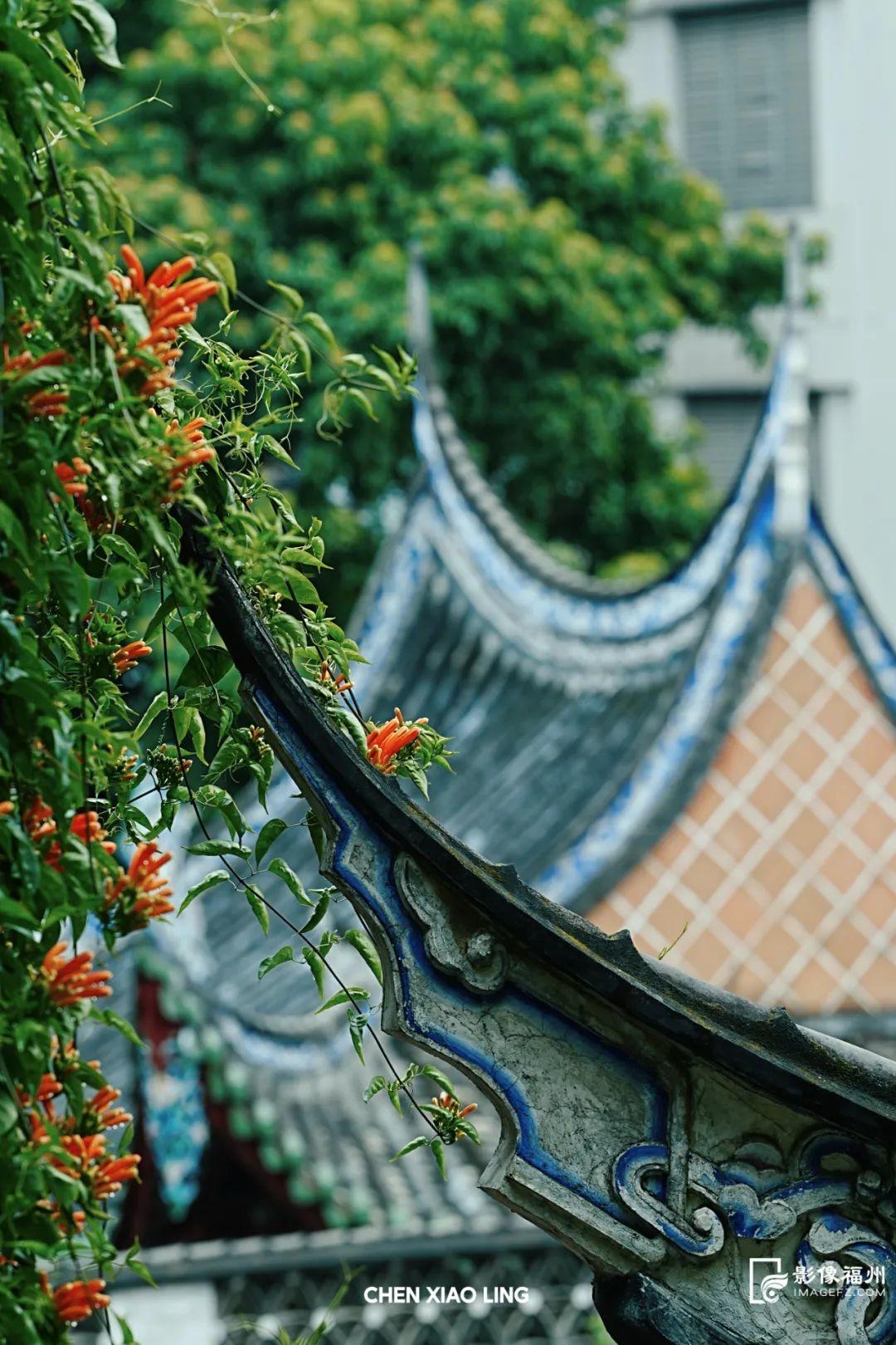 上乌山，赏春花