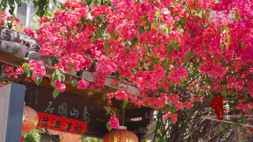 千城百县看中国｜福州鼓楼：花开古城 满城芳菲
