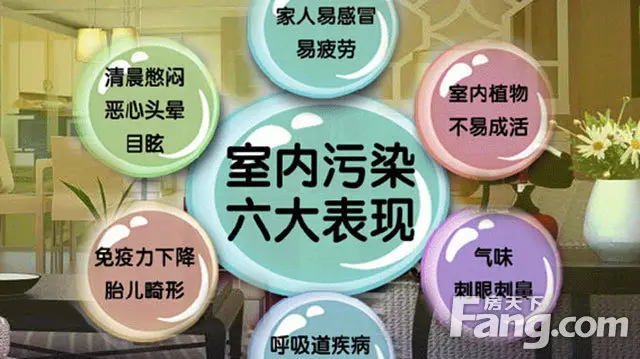 如何去除装修污染？