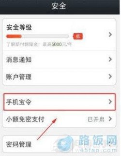 支付宝宝令手机在哪里「支付宝宝令是什么意思」-图1