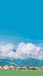 机械革命x5s多少钱「机械革命x5有几个型号」-图2