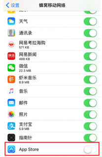 苹果手机流量查询在哪里开「苹果流量查看流量」-图3