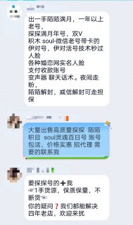 接码短信平台2023「接码短信平台国内」-图1