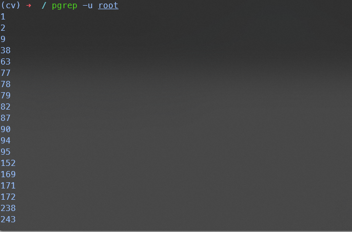 image-20240718135821442