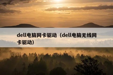 dell笔记本万能网卡驱动-图2
