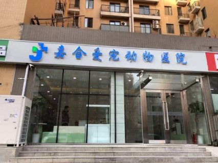 北京哪里有热疗贴批发「北京可以做热疗的医院」-图3