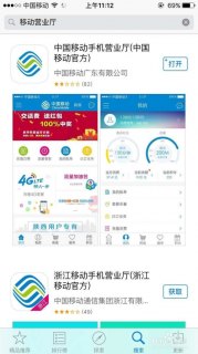 流量查询中国移动网站「流量查询中国移动网站是多少」-图2