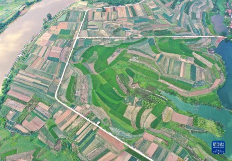 广西区号「广西区号南宁」-图2