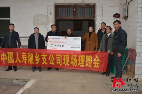 人寿保险电话95519人工服务「人寿保险客服电话955」-图2