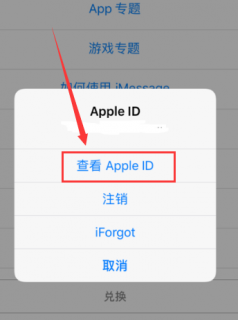iphone手机指纹支付宝支付宝支付宝支付密码怎么设置「苹果支付宝指纹支付设置方法」-图3